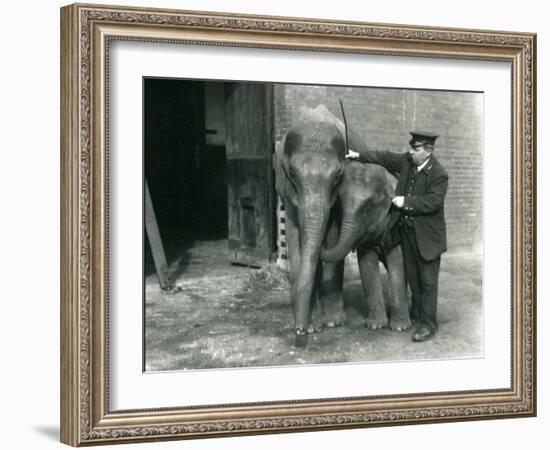 Two Young Female Indian Elephants 'Sundermoni' and 'Sundermalah' with Keeper H. Robertson-Frederick William Bond-Framed Photographic Print