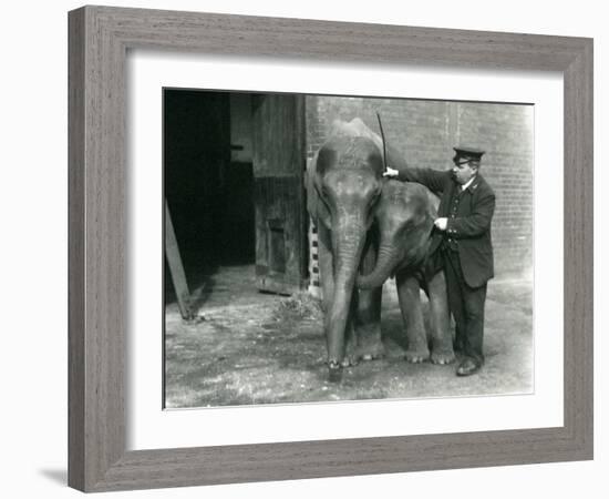 Two Young Female Indian Elephants 'Sundermoni' and 'Sundermalah' with Keeper H. Robertson-Frederick William Bond-Framed Photographic Print