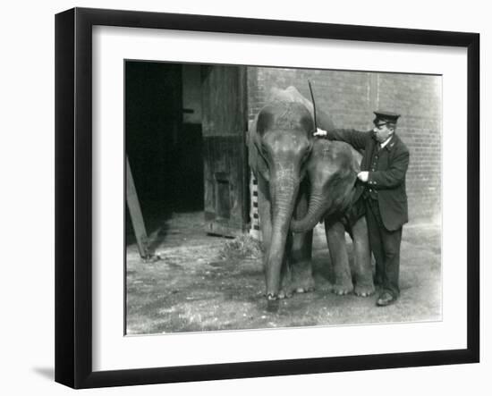 Two Young Female Indian Elephants 'Sundermoni' and 'Sundermalah' with Keeper H. Robertson-Frederick William Bond-Framed Photographic Print