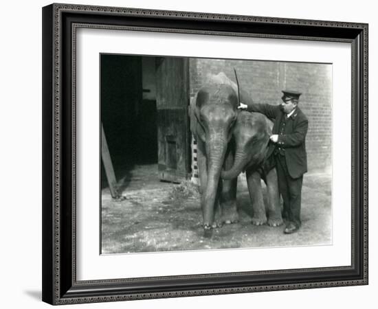 Two Young Female Indian Elephants 'Sundermoni' and 'Sundermalah' with Keeper H. Robertson-Frederick William Bond-Framed Photographic Print