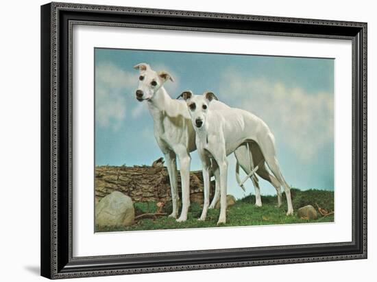 Two Young Greyhounds-null-Framed Art Print