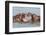 Two Young Hippopotamus (Hippopotamus Amphibius), Hippos with a Wide Open Mouth Playing in Queen Eli-Tomas Drahos-Framed Premium Photographic Print