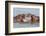 Two Young Hippopotamus (Hippopotamus Amphibius), Hippos with a Wide Open Mouth Playing in Queen Eli-Tomas Drahos-Framed Premium Photographic Print