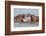 Two Young Hippopotamus (Hippopotamus Amphibius), Hippos with a Wide Open Mouth Playing in Queen Eli-Tomas Drahos-Framed Photographic Print
