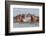 Two Young Hippopotamus (Hippopotamus Amphibius), Hippos with a Wide Open Mouth Playing in Queen Eli-Tomas Drahos-Framed Photographic Print