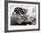 Two Young Kittens Playing with a Slow Moving Giant Tortoise, 1983-null-Framed Photographic Print