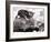 Two Young Kittens Playing with a Slow Moving Giant Tortoise, 1983-null-Framed Photographic Print