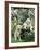 Two Young Labradors in a Daisy Field, UK-Jane Burton-Framed Photographic Print