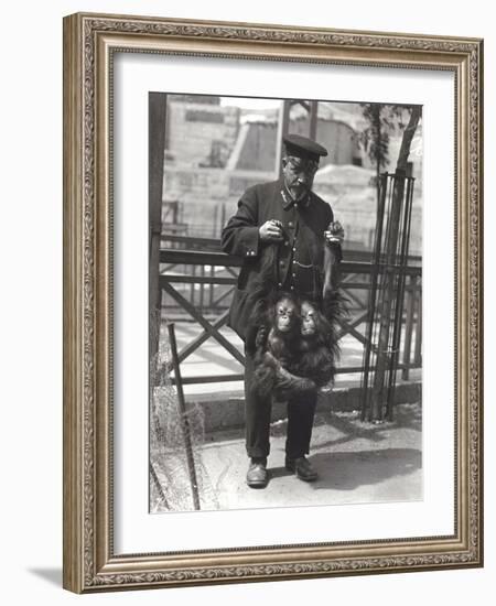 Two Young Orangutans Being Held Up by the Arms, by Keeper Rodwell, at London Zoo, April 1916-Frederick William Bond-Framed Photographic Print