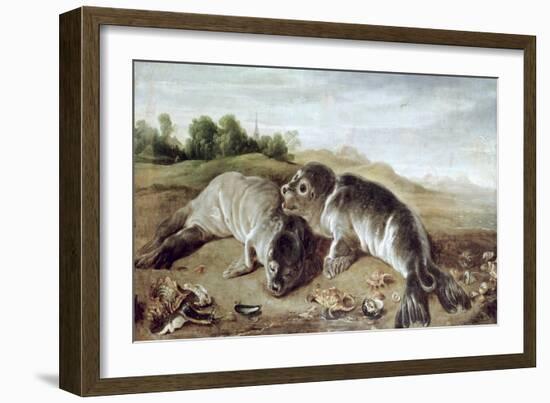 Two Young Seals on the Shore, circa 1650-Paul De Vos-Framed Giclee Print