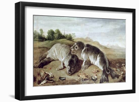 Two Young Seals on the Shore, circa 1650-Paul De Vos-Framed Giclee Print