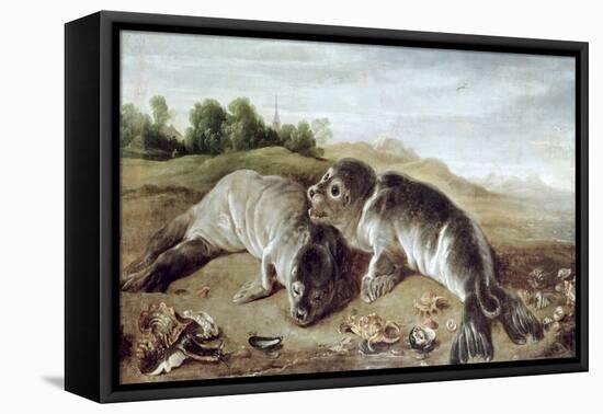 Two Young Seals on the Shore, circa 1650-Paul De Vos-Framed Premier Image Canvas