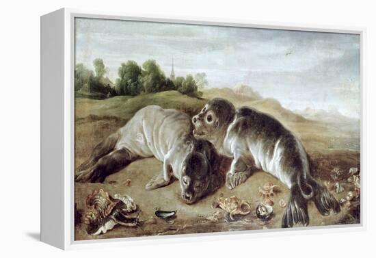 Two Young Seals on the Shore, circa 1650-Paul De Vos-Framed Premier Image Canvas