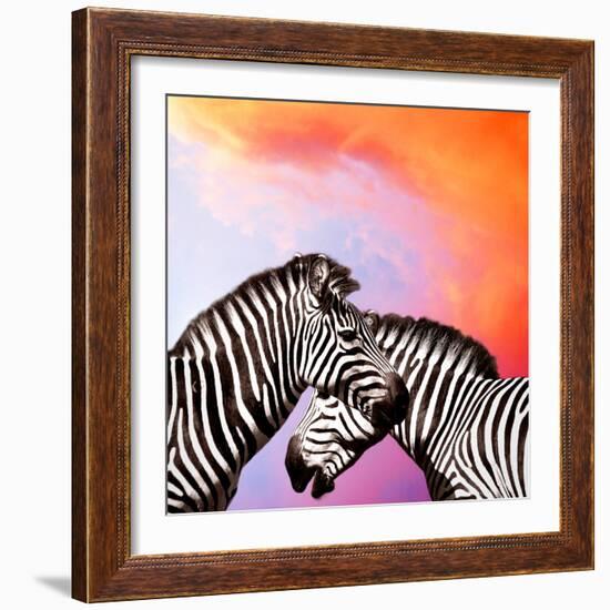 Two Zebras On The Sky-yuran-78-Framed Photographic Print