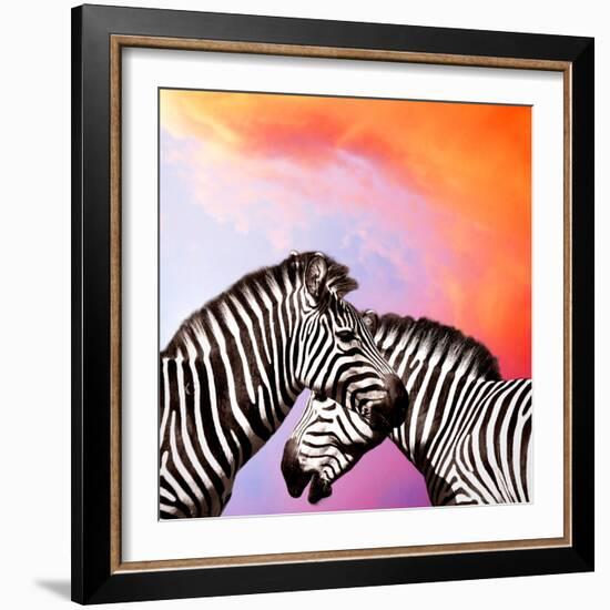 Two Zebras On The Sky-yuran-78-Framed Photographic Print