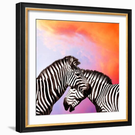 Two Zebras On The Sky-yuran-78-Framed Photographic Print