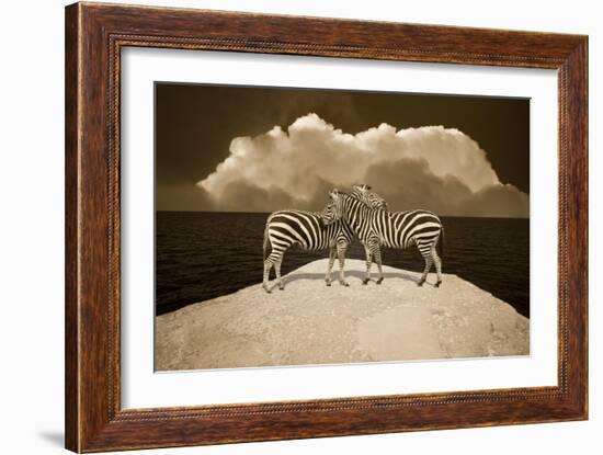 Two Zebras, Port Austin, MI '11-Monte Nagler-Framed Photographic Print
