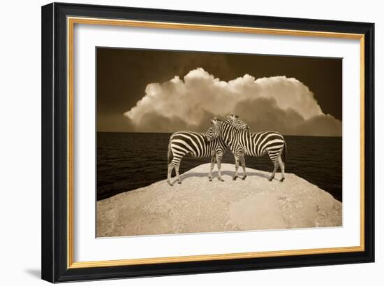 Two Zebras, Port Austin, MI '11-Monte Nagler-Framed Photographic Print