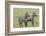 Two Zebras Stand Side by Side, Alert, Ngorongoro, Tanzania-James Heupel-Framed Photographic Print