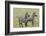 Two Zebras Stand Side by Side, Alert, Ngorongoro, Tanzania-James Heupel-Framed Photographic Print