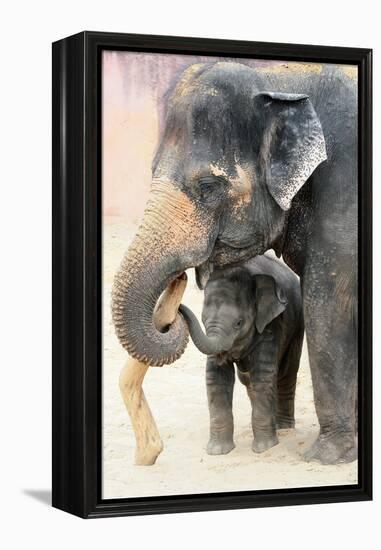 Two-Antje Wenner-Braun-Framed Premier Image Canvas