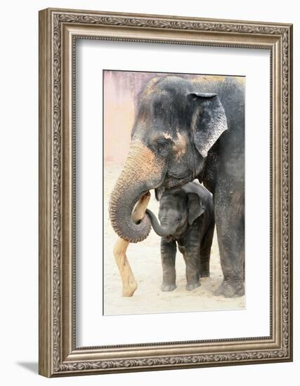 Two-Antje Wenner-Braun-Framed Photographic Print