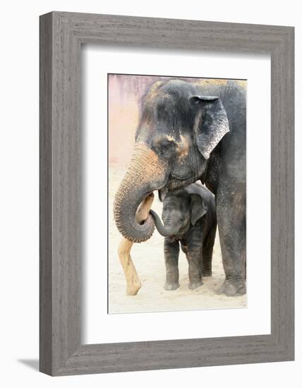 Two-Antje Wenner-Braun-Framed Photographic Print