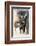 Two-Antje Wenner-Braun-Framed Photographic Print