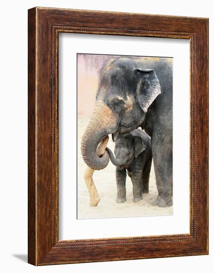 Two-Antje Wenner-Braun-Framed Photographic Print