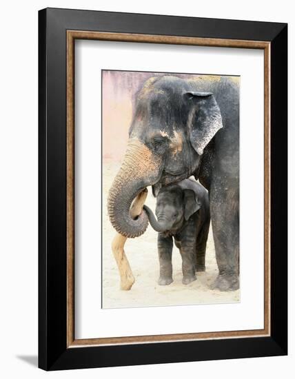 Two-Antje Wenner-Braun-Framed Photographic Print