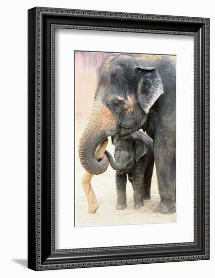 Two-Antje Wenner-Braun-Framed Photographic Print