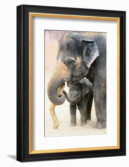 Two-Antje Wenner-Braun-Framed Photographic Print