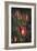 Two-SD Smart-Framed Photographic Print