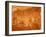 Twyfelfontein Rock Art Site, UNESCO World Heritage Site, Damaraland, Namibia-Kim Walker-Framed Photographic Print