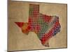 TX Colorful Counties-Red Atlas Designs-Mounted Giclee Print