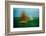 TXII-Greetje Van Son-Framed Photographic Print