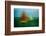 TXII-Greetje Van Son-Framed Photographic Print