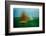 TXII-Greetje Van Son-Framed Photographic Print