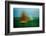 TXII-Greetje Van Son-Framed Photographic Print