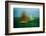 TXII-Greetje Van Son-Framed Photographic Print