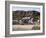 Ty Coch Inn on Beach at Porth Dinllaen Village in Bay on Lleyn Peninsula, North Wales, UK-Pearl Bucknall-Framed Photographic Print