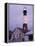 Tybee Island Lighthouse, Savannah, Georgia, United States of America, North America-Richard Cummins-Framed Premier Image Canvas