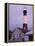 Tybee Island Lighthouse, Savannah, Georgia, United States of America, North America-Richard Cummins-Framed Premier Image Canvas