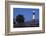 Tybee Lighthouse, Georgia-Paul Souders-Framed Photographic Print