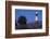 Tybee Lighthouse, Georgia-Paul Souders-Framed Photographic Print