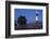 Tybee Lighthouse, Georgia-Paul Souders-Framed Photographic Print