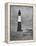 Tybee Lighthouse, North of Savannah-Eliot Elisofon-Framed Premier Image Canvas