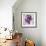 Tye Dye Floral II-Asia Jensen-Framed Art Print displayed on a wall