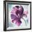 Tye Dye Floral II-Asia Jensen-Framed Art Print