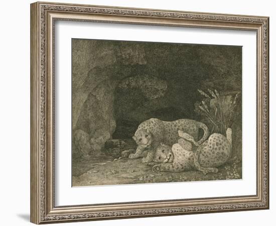 Tygers at Play, Engraved by the Artist, Pub. 1789-George Stubbs-Framed Giclee Print